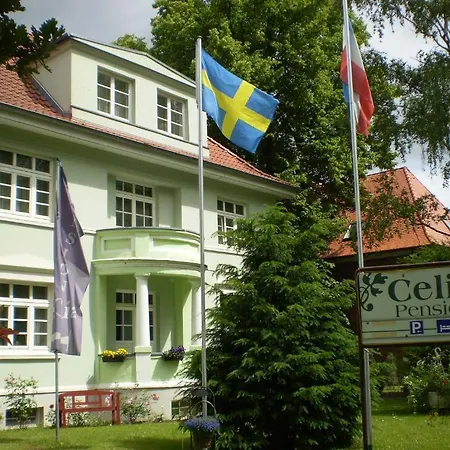Celia Wismar
