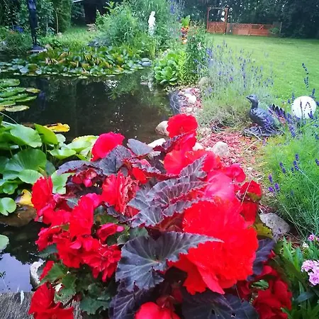 Celia Guest house Wismar